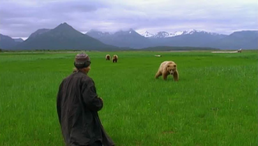 «Grizzly Man», Werner Herzog