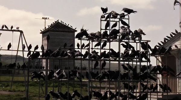 La aterradora presencia de los cuervos en el patio de la escuela | "Los Pájaros" de Hitchcock